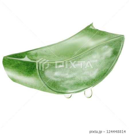 Aloe watercolor illustration. Green leaf of the plant with a falling drop of juice on a white background. Clip art botanical. Ideal for packaging cosmetics, posters of cosmetic clinics. Botanical 124448814
