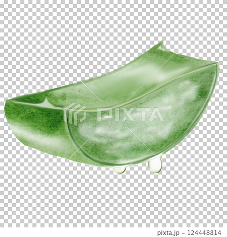 Aloe watercolor illustration. Green leaf of the plant with a falling drop of juice on a white background. Clip art botanical. Ideal for packaging cosmetics, posters of cosmetic clinics. Botanical 124448814