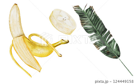 Bananas watercolor set. Hand drawn ripe tropical fruit. Clip art isolated on white background realistic exotic plant. Ideal for designing menus, price tags, labels and packaging of natural cosmetics Bananas watercolor set. Hand drawn ripe tropical fruit. Clip art isolated on white background realistic exotic plant. Ideal for designing menus, price tags, labels and packaging of natural cosmetics 124449158