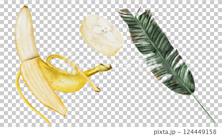 Bananas watercolor set. Hand drawn ripe tropical fruit. Clip art isolated on white background realistic exotic plant. Ideal for designing menus, price tags, labels and packaging of natural cosmetics Bananas watercolor set. Hand drawn ripe tropical fruit. Clip art isolated on white background realistic exotic plant. Ideal for designing menus, price tags, labels and packaging of natural cosmetics 124449158