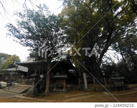 千葉県香取郡神崎町神崎本宿の神崎神社 124450218