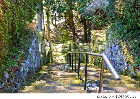 太梅寺の参道　石段 124450515