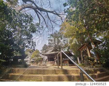 千葉県香取郡神崎町神崎本宿の神崎神社 千葉県香取郡神崎町神崎本宿の神崎神社 124450523