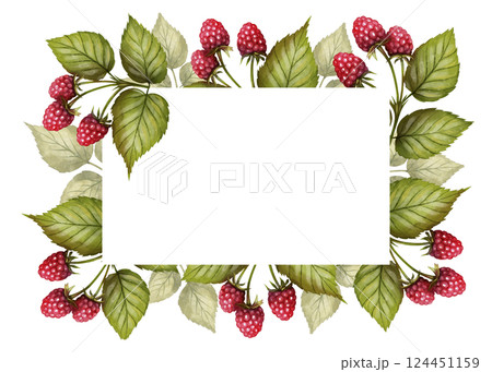 Raspberry frame watercolor illustration 124451159