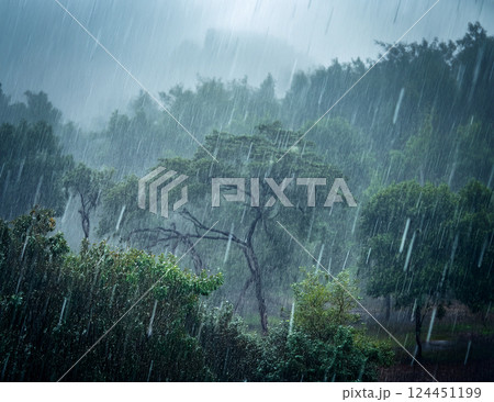 雨の日の風景 雨の日の風景 124451199