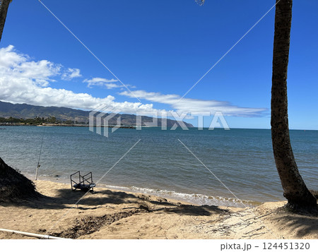 Hawaii NorthShore beach 124451320