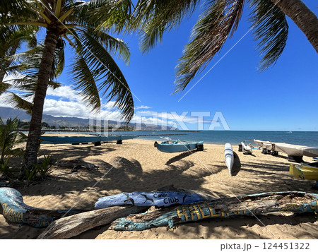 Hawaii NorthShore beach 124451322