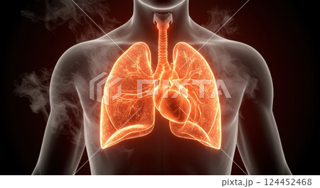 Realistic human chest illustration showing glowing lungs and heart, surrounded by cigarette smoke, symbolizing health and respiratory issues. Realistic human chest illustration showing glowing lungs and heart, surrounded by cigarette smoke, symbolizing health and respiratory issues. 124452468
