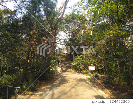 千葉県香取郡神崎町神崎本宿の神崎神社 千葉県香取郡神崎町神崎本宿の神崎神社 124452800