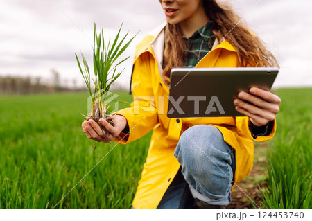 A young farmer woman in a green field, intently using a tablet. The concept of technology, gardening A young farmer woman in a green field, intently using a tablet. The concept of technology, gardening 124453740