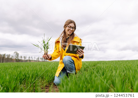 A young farmer woman in a green field, intently using a tablet. The concept of technology, gardening 124453761
