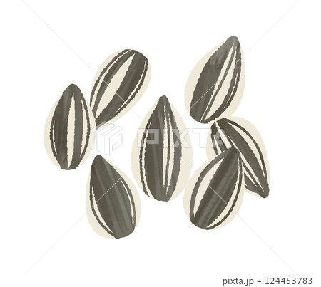 ひまわりの種 124453783