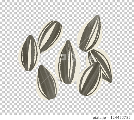 向日葵種子 向日葵種子 124453783