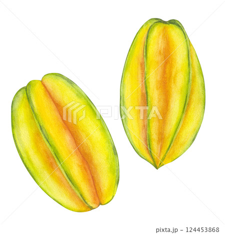 Watercolor whole Starfruit set. Yellow tropical Averrhoa carambola or Bilimbi. Botanical exotic star apple. Hand drawn illustration isolated white background. For menu, recipes, logo, package design. Watercolor whole Starfruit set. Yellow tropical Averrhoa carambola or Bilimbi. Botanical exotic star apple. Hand drawn illustration isolated white background. For menu, recipes, logo, package design. 124453868
