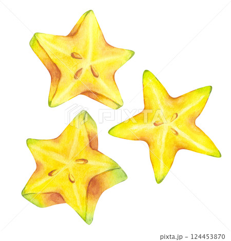 Slice yellow tropical Starfruit watercolor. Averrhoa carambola or Bilimbi. Botanical exotic star apple. Hand drawn illustration isolated on white background. For menu, recipes, logo, package design 124453870