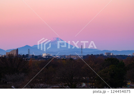 埼玉県戸田市から見る朝焼けの空と富士山の絶景 埼玉県戸田市から見る朝焼けの空と富士山の絶景 124454075