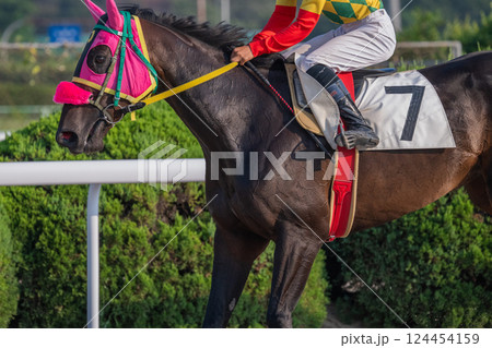 競馬の風景 競馬の風景 124454159