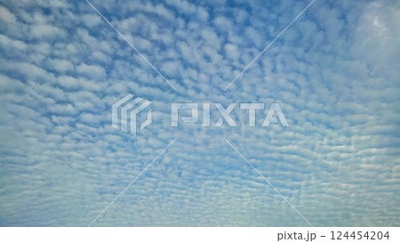 うろこ雲 うろこ雲 124454204