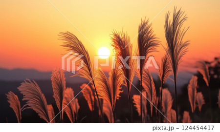 秋の夕暮れ – 逆光に輝くススキのシルエット 124454417