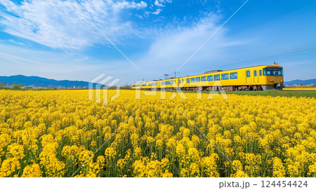鮮やかな菜の花畑とローカル線 鮮やかな菜の花畑とローカル線 124454424