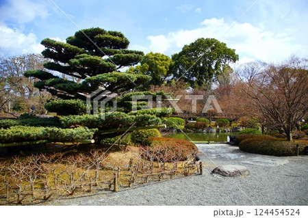 京都府　東寺・庭園 瓢箪池　京都市 南区 九条町　2022年2月 124454524