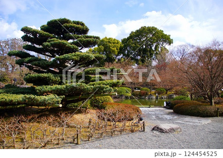 京都府 東寺・庭園 瓢箪池 京都市 南区 九条町 2022年2月 京都府 東寺・庭園 瓢箪池 京都市 南区 九条町 2022年2月 124454525