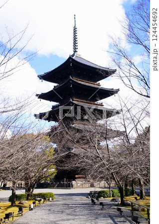 京都府　東寺・五重塔（国宝） 京都市 南区 九条町　2022年2月 124454692