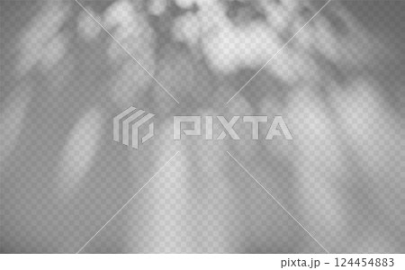 Abstract shadow overlay from foliage on a transparent background. Abstract shadow overlay from foliage on a transparent background. 124454883