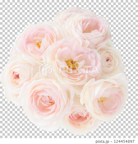 Pale pink fresh bouquet image White background Bouquet cutout material PNG transparent 124454897