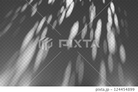 Abstract shadow overlay from foliage on a transparent background. 124454899