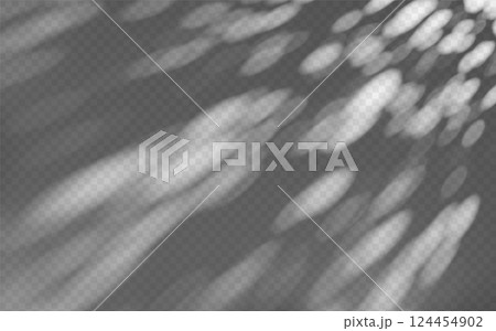 Abstract shadow overlay from foliage on a transparent background. Abstract shadow overlay from foliage on a transparent background. 124454902