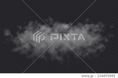 Fog effect on transparent dark background. Smoke gray cloud 124455049