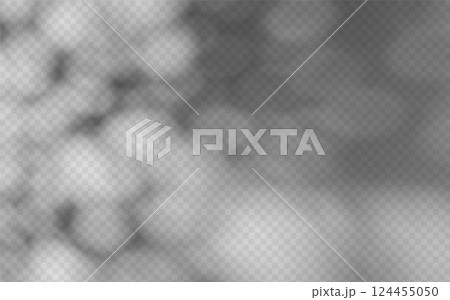 Abstract shadow overlay from foliage on a transparent background. 124455050