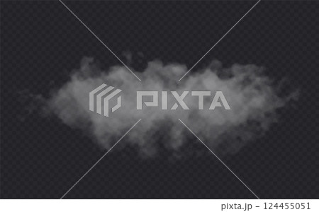 Fog effect on transparent dark background. Smoke gray cloud 124455051