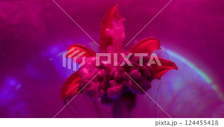 Ink vapor. Flower smoke. Pink flow fall on red lily natural petals. Haze color blend on blur purple gleam round neon arch background. 124455418