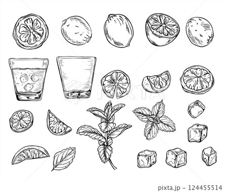 Citrus slices, cold drink with ice, drinking glass, ice cubes and mint branch set vector illustration painted by black inks. Monochrome lemon, orange or lime pieces clip art. For beverage packaging. 124455514