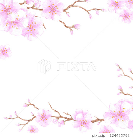 Hand drawn watercolor cherry blossom branch frame border. Illustration of flowers isolated on white background. Can be used for postcard, album, scrapbook and other printed products. Hand drawn watercolor cherry blossom branch frame border. Illustration of flowers isolated on white background. Can be used for postcard, album, scrapbook and other printed products. 124455792