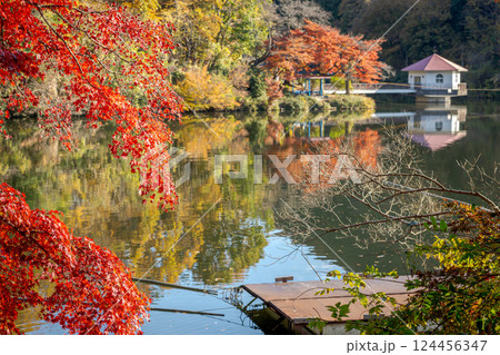 埼玉県円良田湖の景色 124456347
