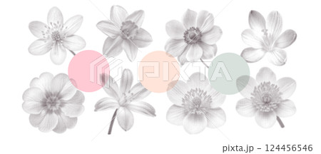 Vintage spring flowers set. Collage flowerheads in top view with a minimalism aesthetic. Retro bitmap scrapbooking style with dotted element. Trendy stickers with photocopy effect. 124456546