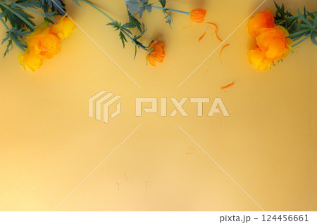 Bright orange flowers on yellow background, create fresh and minimalistic floral border. Frame, backdrop, copy space 124456661