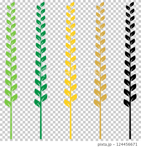 4種の茎が長い葉っぱ 4種の茎が長い葉っぱ 124456671