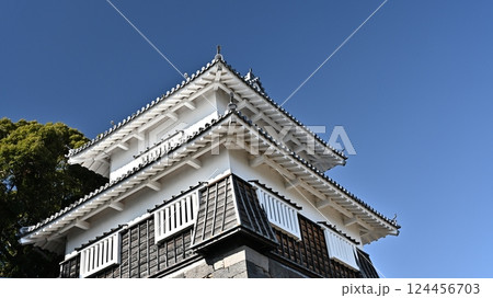 玖島城 (Kushima Castle / Ōmura Castle)　大村公園 124456703