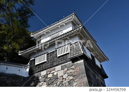 玖島城 (Kushima Castle / Ōmura Castle)　大村公園 124456709