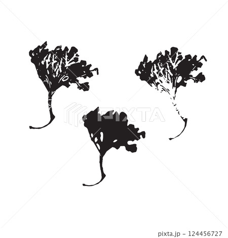 Silhouette of dry lichen. Boho minimalist floral element 124456727