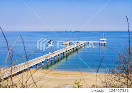 BURGAS, BULGARIA - MARCH 21, 2025: Long seaside pier stretches in calm blue sea with flying seagull above peaceful coastal horizon. Sea view blends architecture, nature, freedom in travel composition 124457525