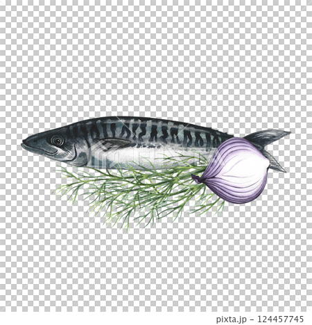 Mackerel with dill and onion. Hand-drawn watercolor illustration.. A color image of a fish dish. Separate from the background. Great for menus, recipe books, packages, labels, invitations. Mackerel with dill and onion. Hand-drawn watercolor illustration.. A color image of a fish dish. Separate from the background. Great for menus, recipe books, packages, labels, invitations. 124457745