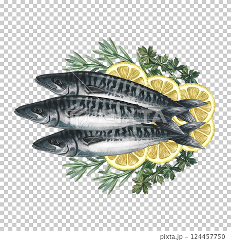 Mackerel with lemon and herbs. A hand-drawn watercolor illustration. A color image of a delicious fish dish. Separate from the background. Perfect for menus, recipe books, packages, labels, invitation 124457750