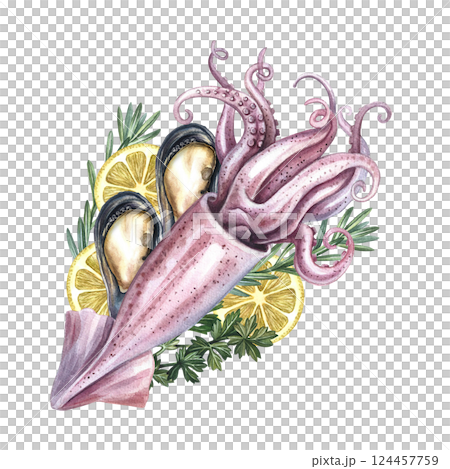 Whole squid with mussels, celery, lemon and rosemary. A hand-drawn watercolor illustration. Color image of seafood. For menus, recipes, packages, labels and invitation flyers. 124457759