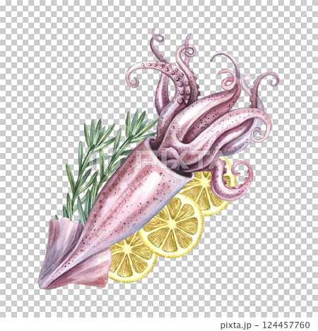 Whole squid with lemon and rosemary. A hand-drawn watercolor illustration. Color image of seafood. For menus, recipes, packages, labels and invitation flyers. 124457760