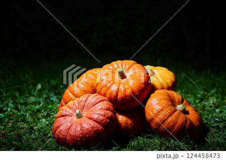 A stack of large orange pumpkins on the green grass at night. Autumn harvest, Halloween. 124458473
